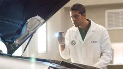 Les experts : Miami S04E02 Face aux requins