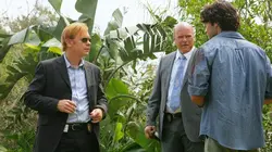 Les experts : Miami S07E04 Tous les coups sont permis