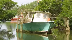 Les experts : Miami S01E03 Le prix de la liberté