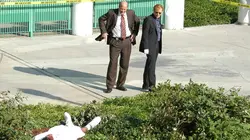 Les experts : Miami S04E05 Trois visages pour un crime