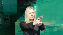 Les experts : Miami S05E09 Mort aux enchères