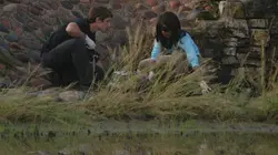 Les experts : Miami S03E07 Vague criminelle