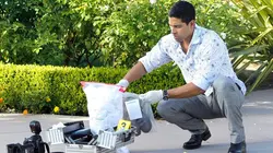 Les experts : Miami S09E10 La partenaire idéale