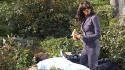 Les experts : Miami S04E05 Trois visages pour un crime