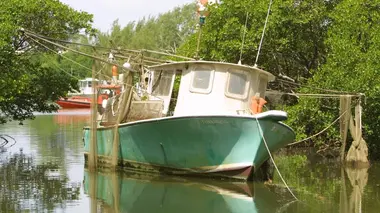 Les experts : Miami S01E03 Le prix de la liberté
