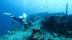 Visuel de Les explorateurs d'épaves