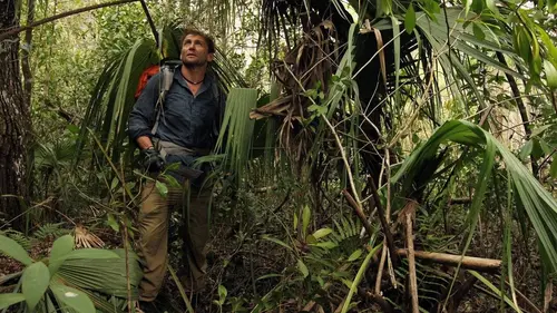 Les explorateurs : mission à haut risque