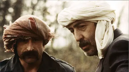 Les favoris de la lune en streaming