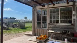 Les fées anti-gaspi, en Provence verte