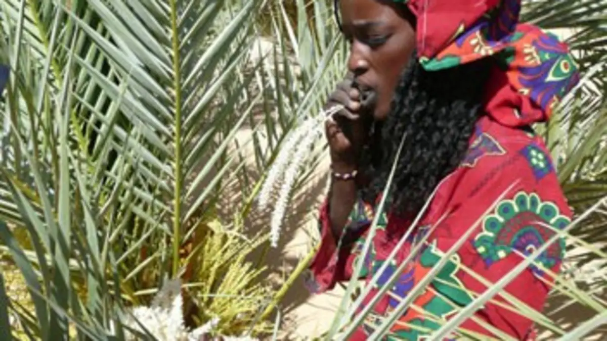 Les femmes des sables