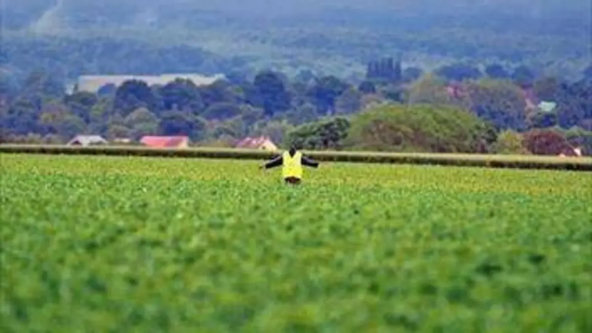 Les femmes du rond-point