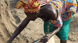 Visuel de Les femmes sel