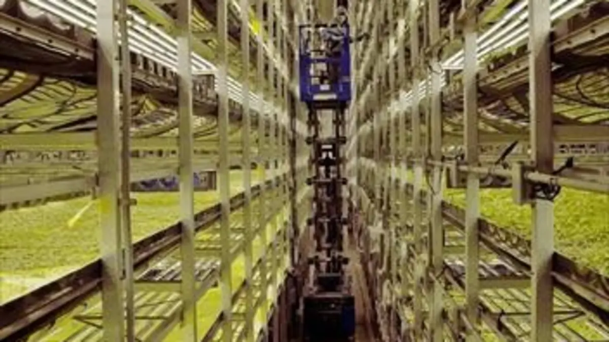 Les fermes verticales : l'agriculture de demain ?