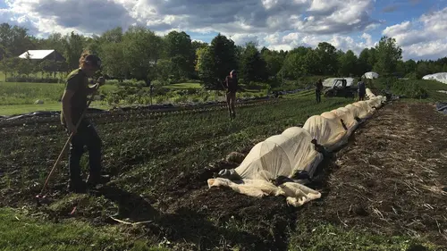 Les fermiers On plante le jardin
