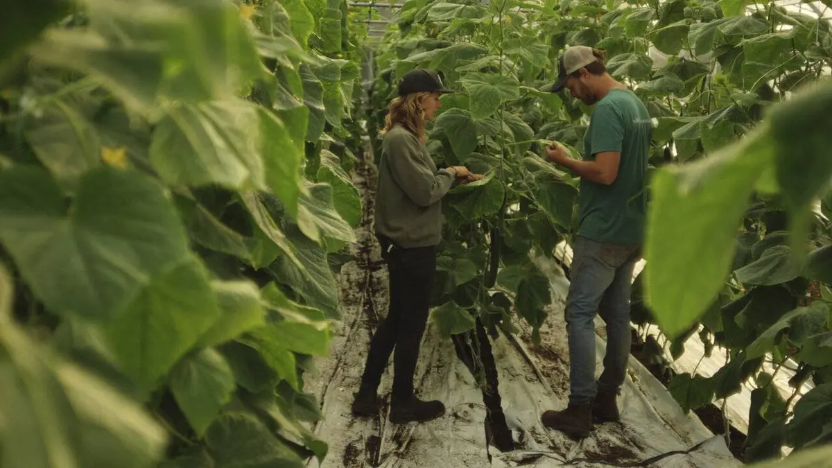 Les fermiers La mi-saison