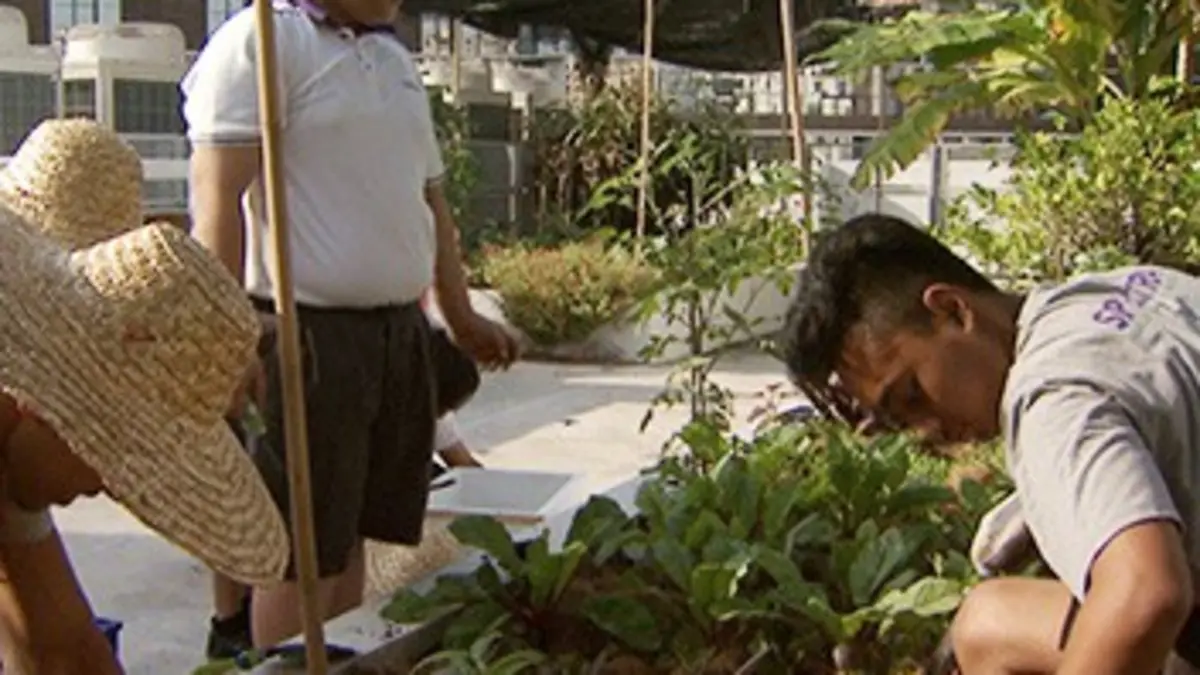 Les fermiers du futur