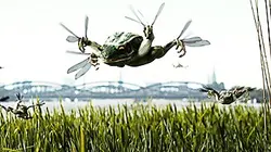 Visuel de Les filles de l'art