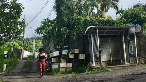 Les filles du coin