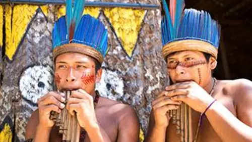 Les fils de la forêt, l'ultime combat