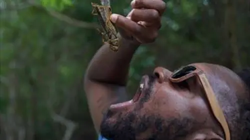 Les flots Mexique, Puerto Morelos