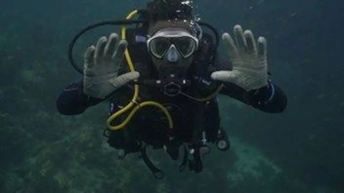 Les Flots Galapagos, Isabela