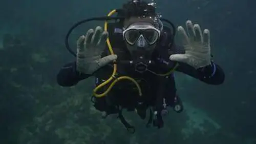 Les Flots Tunisie sud