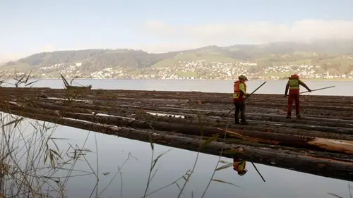 Les flotteurs sur bois du Lac Ägeri