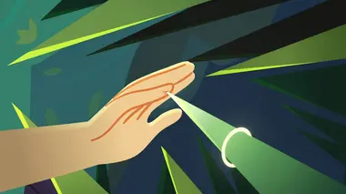 La nuit du potager