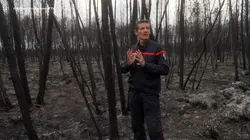Les gardiens de la forêt des Landes