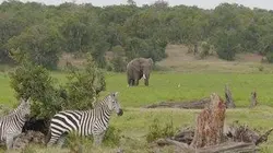 Visuel de Les gardiens de la montagne