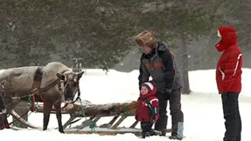 Les gardiens de la toundra