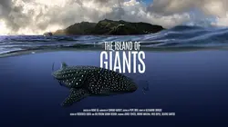Les géants marins des Açores