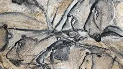 Visuel de Les génies de la grotte Chauvet