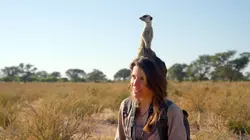 Les génies de la nature