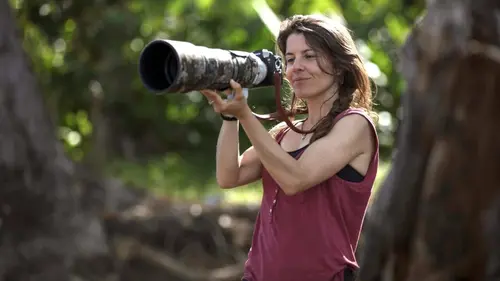 Les génies de la nature Au Costa Rica