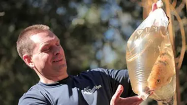 Bienvenue dans la jungle