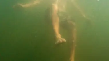 Les gens du fleuve