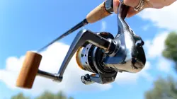 Les globe-pêcheurs en Norvège