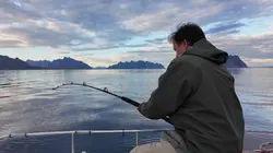 Les globe-pêcheurs en Norvège
