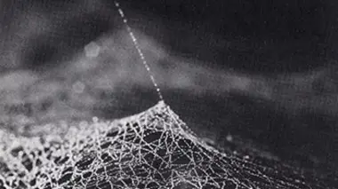 Frei Otto et le Stade olympique de Munich