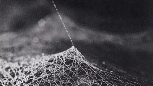 Les grandes dates de la science et de la technique Frei Otto et le Stade olympique de Munich