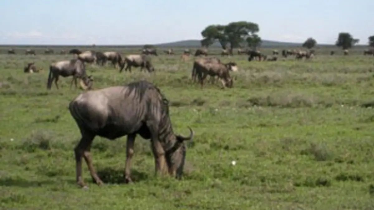National Geographic Avancer pour vivre