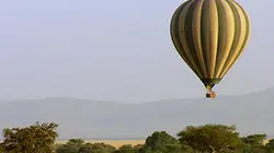 Visuel de Les grandes migrations