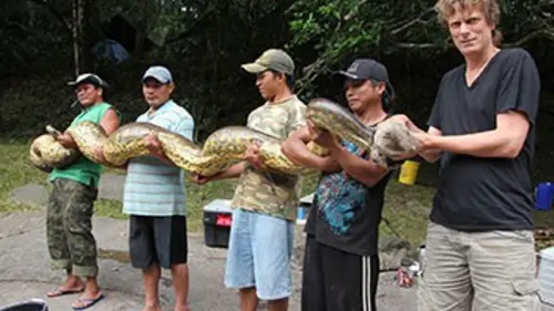 Les grands animaux d'Amérique du Sud