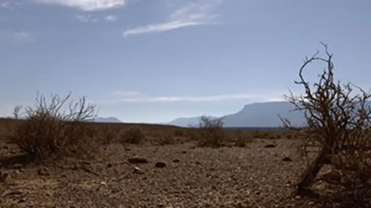 Les grands parcs d'Afrique S01E00 Le parc naturel du Karoo : un semi-désert bien vivant