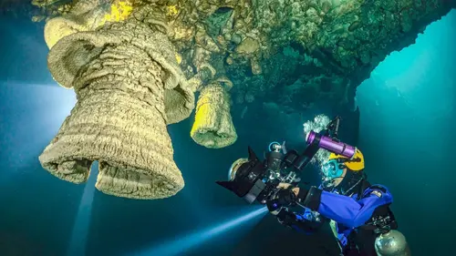 Les grottes immergées : Labyrinthes des profondeurs