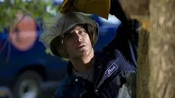 Visuel de Les guêpes mutantes