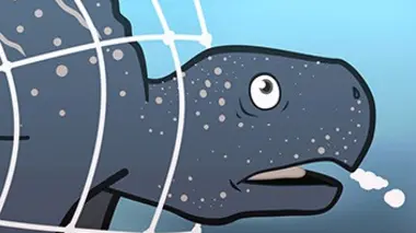 Suzan Baptiste et les tortues de Trinidad