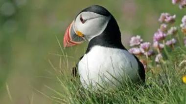 Le répit de l'été