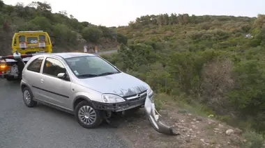 De Lyon à Perpignan : le Sud sous haute surveillance